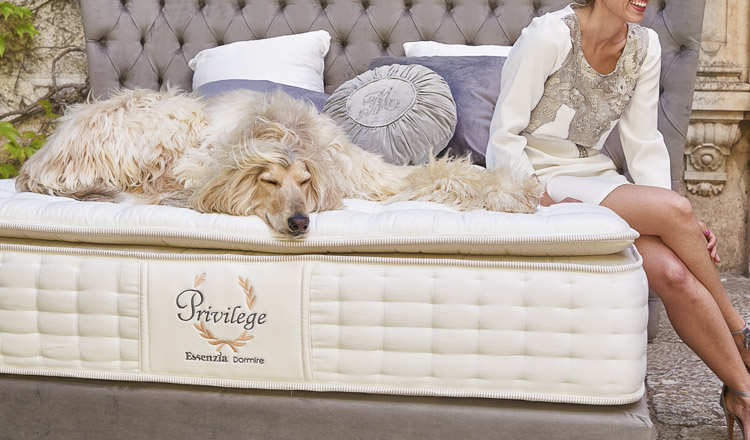 Essenzia-Dormire-Colchon-Privilege-2